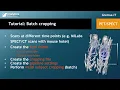 Tutorial Batch cropping