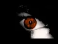 RED (Creepypasta)