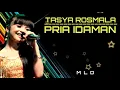 Download Lagu Tasya Rosmala - Pria Idaman (COVER\u0026LIRIK)