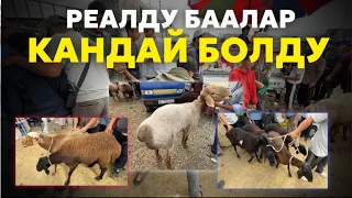 Кой базар Манас шаары 👍🏻🔥