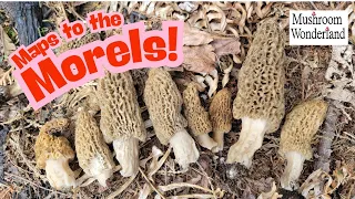 Maps to the Morels Mushroom hunting with Modern Forager
