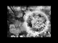 Download Lagu Madih-Ghazale Hekyet Ma^ el Hadi