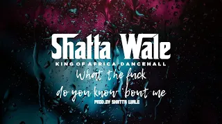shatta wale wha da u0026