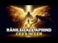 Download Lagu Vezi ce se întâmplă când rănesc pe cineva ales