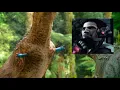 Maidenless Carno - Prehistoric Planet Meme