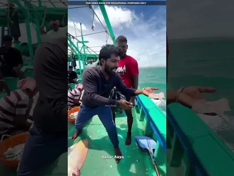 He Rescued a Baby Stingray