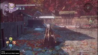 Nioh 2 - Hybrid farming LUCK build decent DPS and super tanky