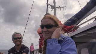 36 – We Became Whale Researchers! (for a day)