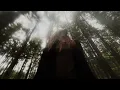 Wisp - I remember how your hands felt on mine (Official Visualizer)