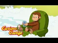 George Floods the House Curious George Kids Cartoon Kids Movies