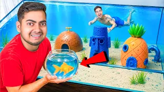 We Built a GIANT Fish Tank 😱 | We Swam With The Fish 😍