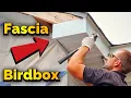 How To Install Fascia On A Birdbox