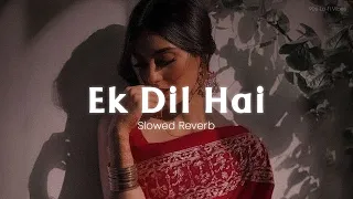 Download Ek Dil Hai - [Slowed+Reverb] Ek Rishtaa | Akshay Kumar, Karisma Kapoor | Hindi Romantic Song MP3