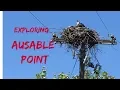 Ausable Point - Osprey nest and kitesurf on Lake Champlain 4K
