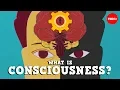 Lagu What is consciousness? - Michael S. A. Graziano