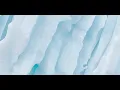 Tomas Ledin - Sommaren är kort (instrumental)