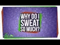 Why Do I Sweat So Much