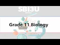 Grade 11 Biology SBI3U in 4 hours