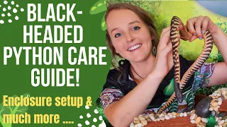 Black-headed python Care Guide Enclosure setup heating substrate and much more