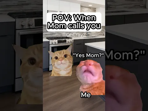 CAT MEMES 🐱 WHEN MOM CALLS YOU #relatable #cat #horror #family #shorts