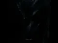 Hydra - Orbit Culture