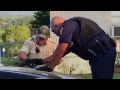 Suspects flee Danville Police pursuit ends after crash in Ola