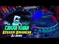 Download Lagu Kekasih bayangan Dj Remix