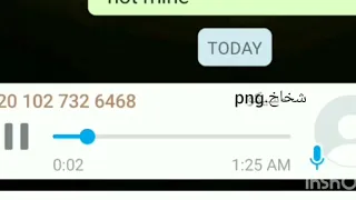 ريكورد قليل الادب ومش متربي دندنها