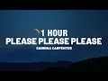 Download Lagu [1 HOUR] Sabrina Carpenter - Please Please Please (Lyrics)