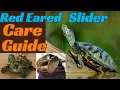 Red Eared Slider Care Guide the Best pet turtle