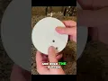 Reset Your Smoke Detector Easy DIY Fix in Seconds