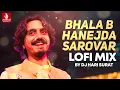 Bhala Bhanejda Sarovar (Lofi Mix) Aditya Gadhvi | Shruti Ahir | Navratri Special Song 2025 DJ Mix