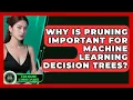 Why Is Pruning Important For Machine Learning Decision Trees - AI and Machine Learning Explained