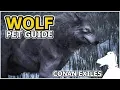 WOLF Pets Guide CONAN EXILES