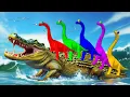 Download Lagu TYRANNOSAURUS REX vs ALL CARNIVORES \u0026 HERBIVORES DINOSAURS - Jurassic World Rebirth 2025