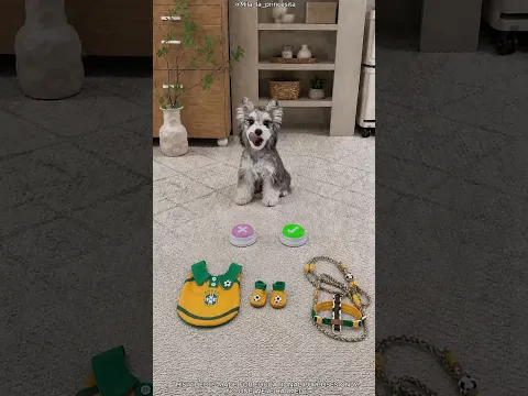 🐶⚽ هذا الكلب من أشد المعجبين برونالدو! 😳❤️