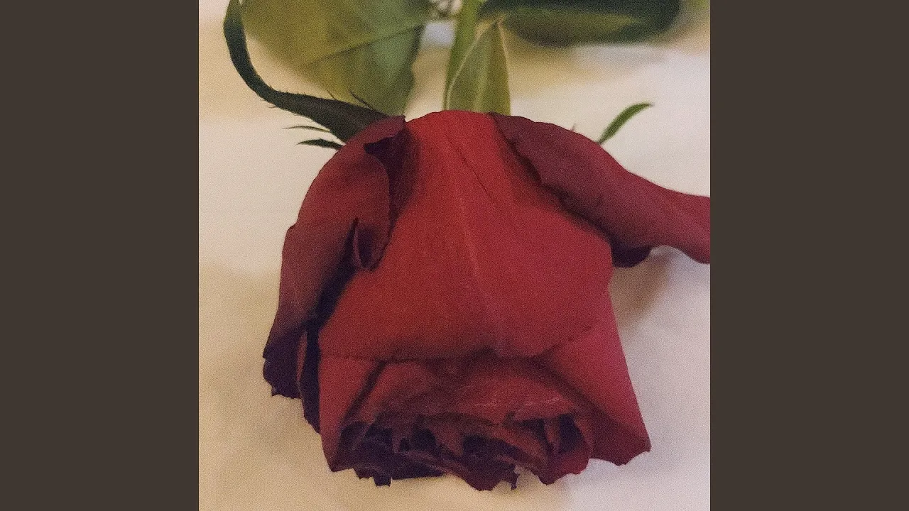 For Your Pleasure (1950s Ladies)