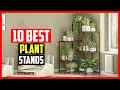 Top 10 Best Plant Stands in 2025