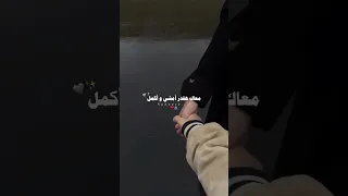 اوعدني طول ما انت معايا ما تسيبش ايدي من ايدك تامر حسني 