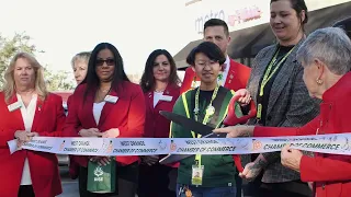 Rise Dispensary - Orlando Grand Opening