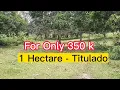 V For Only 350 k 1 Hectare Titulado May Kalsada