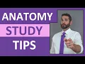 Anatomy Study Tips How to Pass Anatomy and Physiology Class