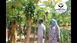 Inisheetiivii Qonnaa 