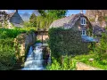 Download Lagu Peaceful Music, Relaxing Music, Instrumental Music \