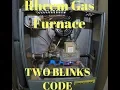 Rheem Gas Furnace Won t Turn On 2 Blinks Codes Fixed - No Heat