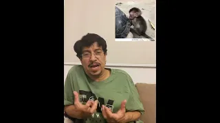 شيهان وانطلق ياقرد  شيهان وانطلق ياقرد