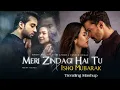 Meri Zindagi Hai Tu x Ishq Mubarak | Mashup | Arijit Singh | Asim Azhar | Serein Musix 
