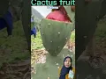 Download Lagu ADA YANG TAU INI BUAH APA? #shorts #funny #dubbing