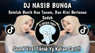 dj nasib bunga setelah benih kau tanam dan kini bertunas sudah dj viral tiktok terbaru 2025