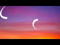 Alec Benjamin - Annabelle's Homework (Lyrics)